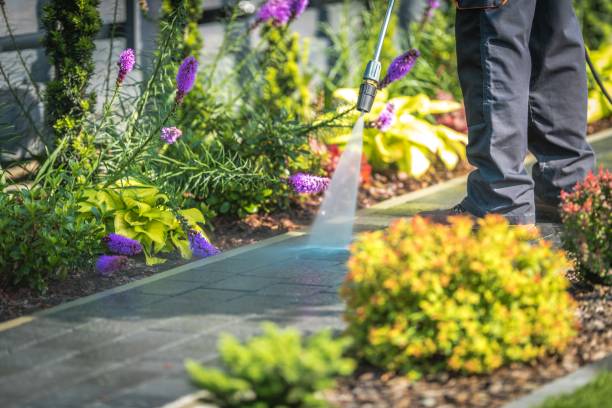 Professional Pressure Washing in Dunedin, FL