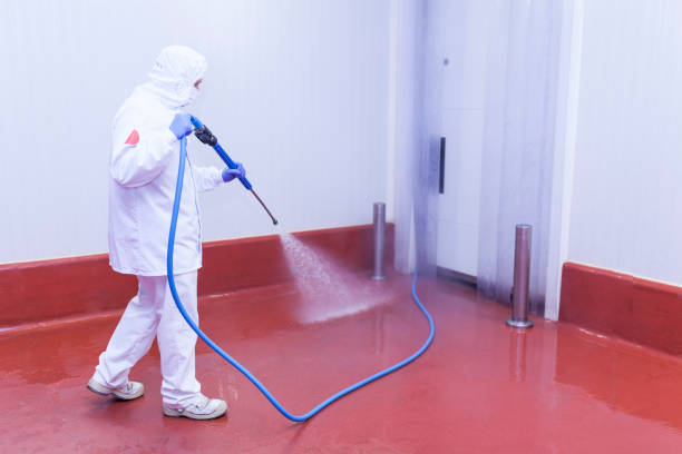 Best Boat and Dock Cleaning  in Dunedin, FL