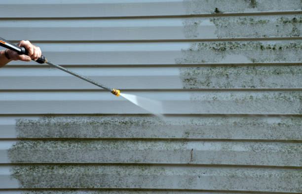 Best Patio and Deck Pressure Washing  in Dunedin, FL