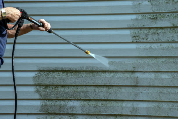 Best Gutter Cleaning  in Dunedin, FL