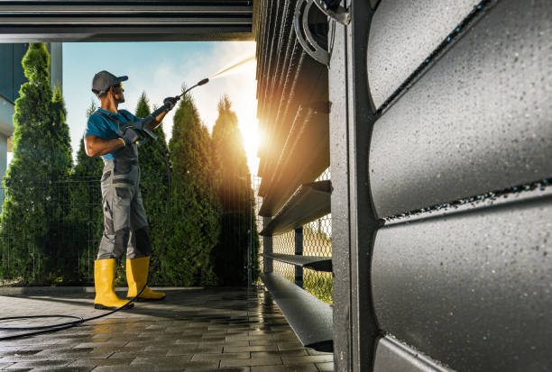 Animal Enclosure Cleaning in Dunedin, FL